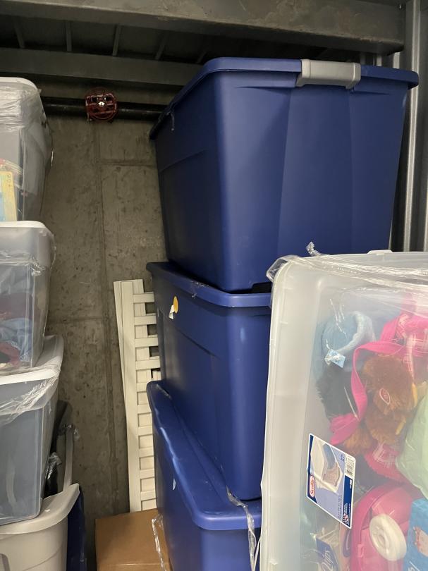 Storage Unit Auction in Brooklyn, NY at Safeguard Self Storage